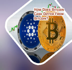 Bitcoin price coin market cap
