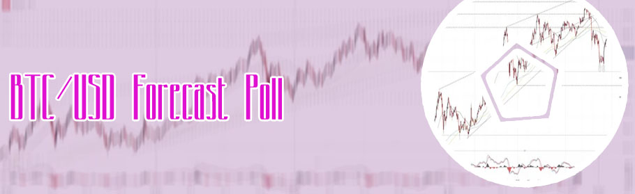Btc value usd